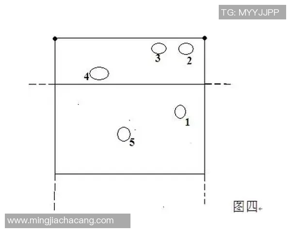 南京排球队节奏对比分析透视球队风格与战术演变 南京排球队节奏对比分析透视球队风格与战术演变
