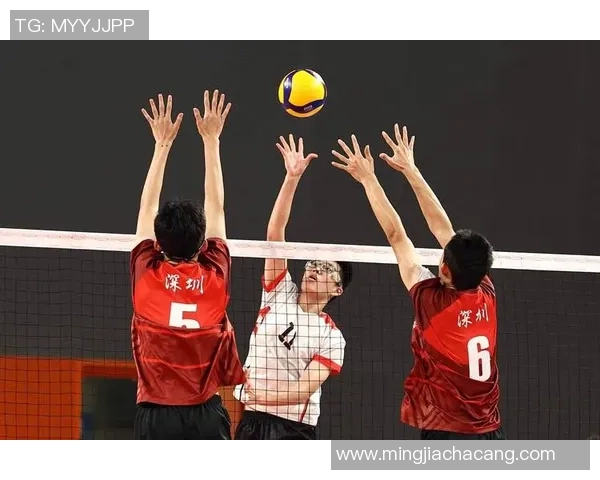 重庆排球队的团队协作与战术配合深度分析与探讨 重庆排球队的团队协作与战术配合深度分析与探讨