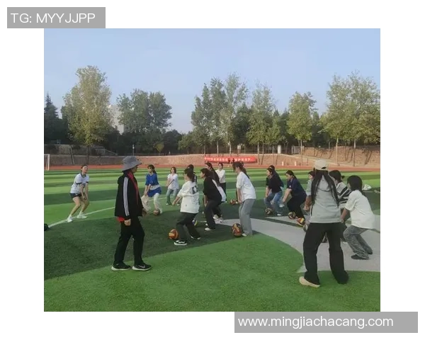 成都排球队挑战赛点评：个人能力展现与团队协作的完美结合